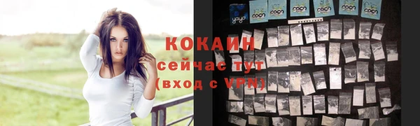 спиды Абаза