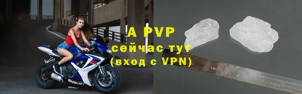 спиды Абаза