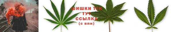 спиды Абаза